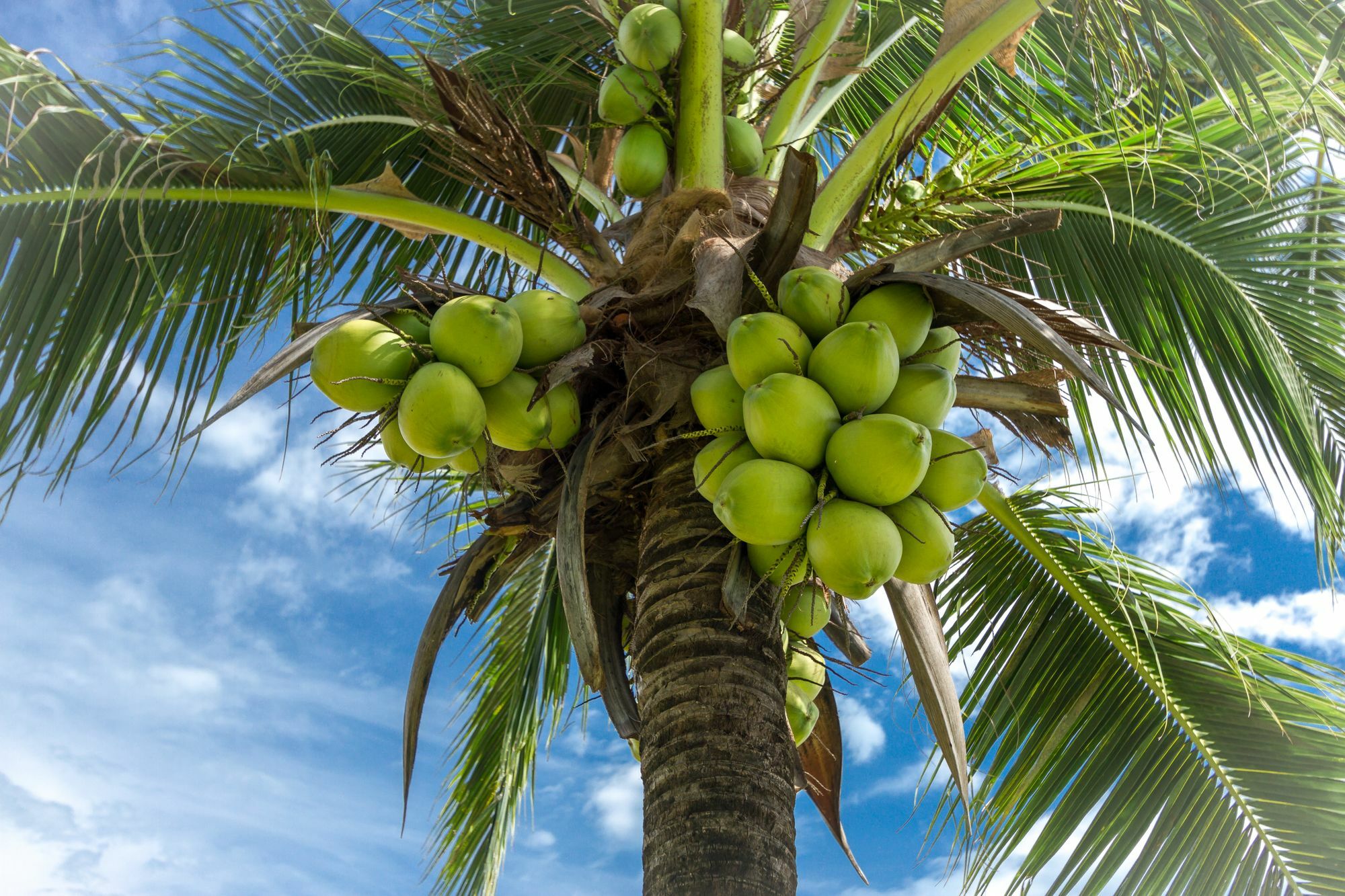 Coastal Escape Koh Yao Noi Βίλα Εξωτερικό φωτογραφία